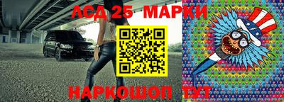 СК Можга