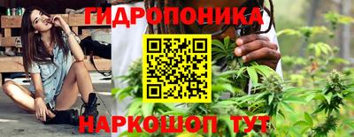 СК Можга