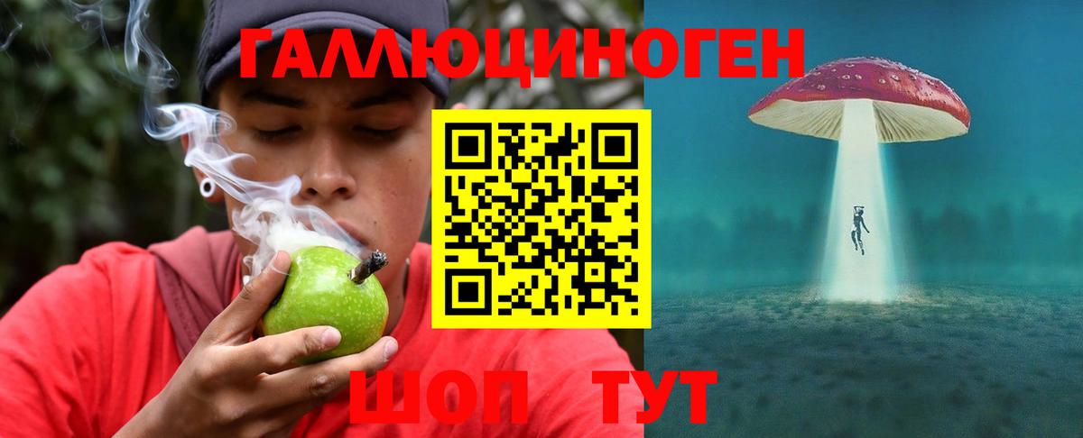 Узловая  Псилоцибиновые грибы мицелий  Вход с VPN  Псилоцибиновые грибы Psilocybe 